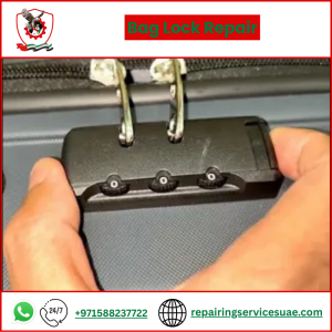 Bag Lock Repair