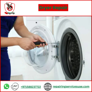 Dryer Repair