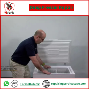 Deep Freezer Repair