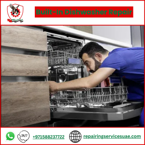 Built-In Dishwasher Repair