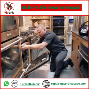 Built-In Dishwasher Repair