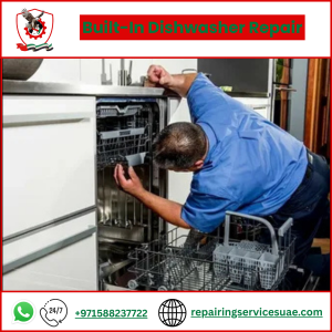 Built-In Dishwasher Repair