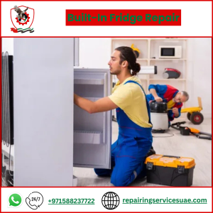 Built-In Fridge Repair