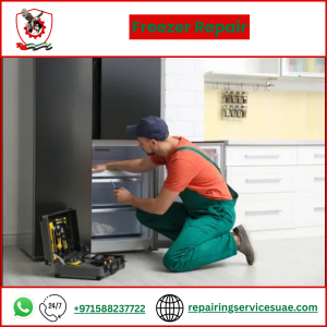 Freezer Repair