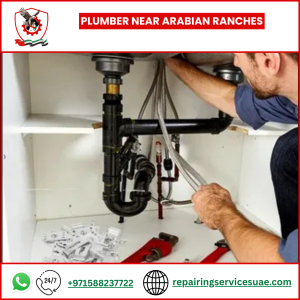 Plumber Near Arabian Ranches
