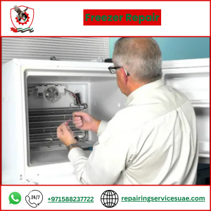 Freezer Repair