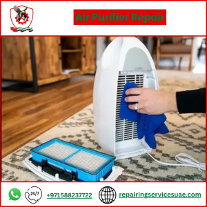 Air Purifier Repair