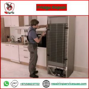 Fridge Repair