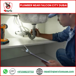 Plumber Near The Villa Dubai