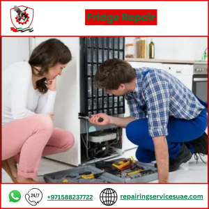 Fridge Repair