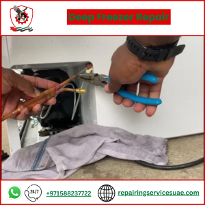 Deep Freezer Repair