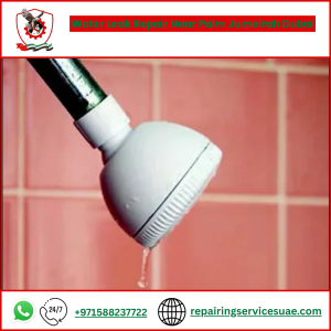 Water Leak Repair Near Palm Jumeirah Dubai