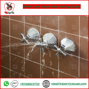 Water Leak Repair Near Springs Dubai