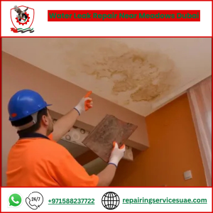 Water Leak Repair Near Meadows Dubai
