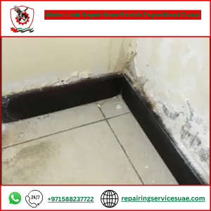 Water Leak Repair Near Sheikh Zayed Road Dubai