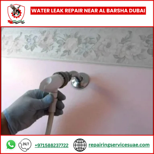 Water Leak Repair Near Al Barsha Dubai