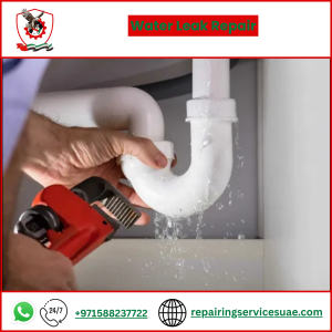 Water Leak Repair