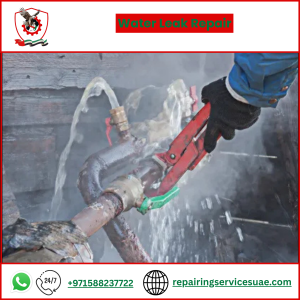 Water Leak Repair