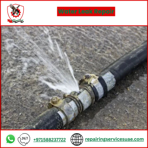 Water Leak Repair