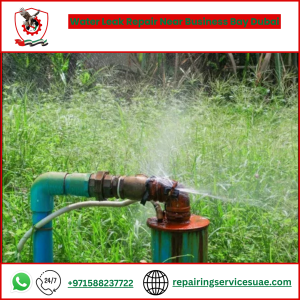 Water Leak Repair Near Business Bay Dubai