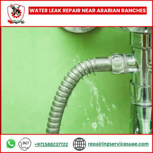Water Leak Repair Near Arabian Ranches