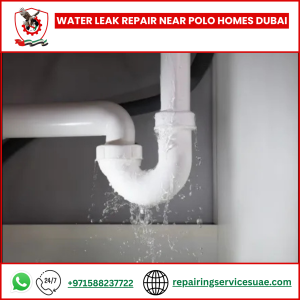 Water Leak Repair Near Polo Homes Dubai