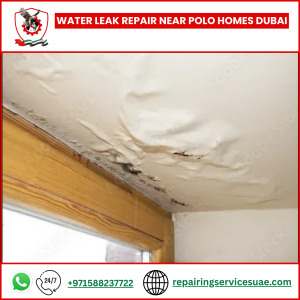 Water Leak Repair Near Polo Homes Dubai