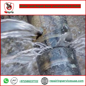 Water Leak Repair Near Jumeirah Park Dubai