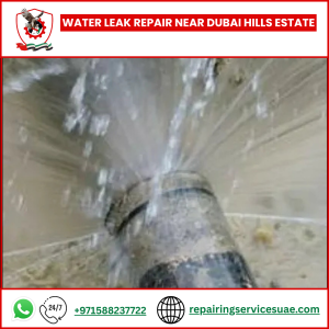 Water Leak Repair Near Dubai Hills Estate