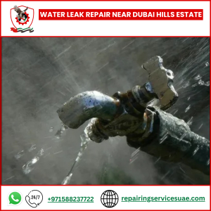 Water Leak Repair Near Dubai Hills Estate