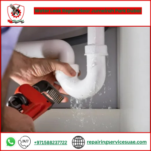 Water Leak Repair Near Jumeirah Park Dubai