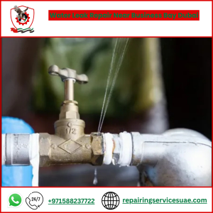 Water Leak Repair Near Business Bay Dubai