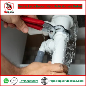 Water Leak Repair Near Polo Homes Dubai
