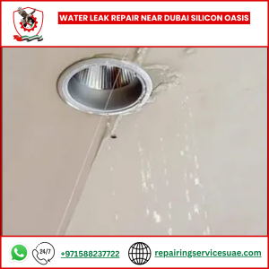 Water Leak Repair Near Dubai Silicon Oasis