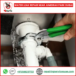 Water Leak Repair Near Jumeirah Park Dubai