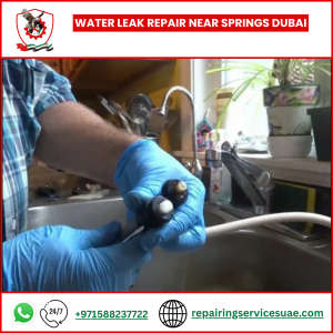 Water Leak Repair Near Springs Dubai