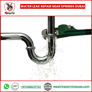 Water Leak Repair Near Springs Dubai