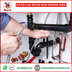 Water Leak Repair Near Springs Dubai