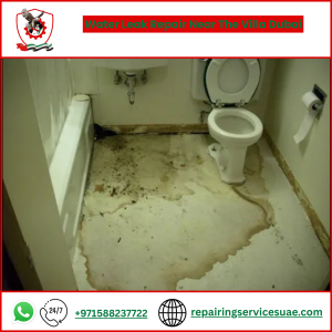 Water Leak Repair Near The Villa Dubai
