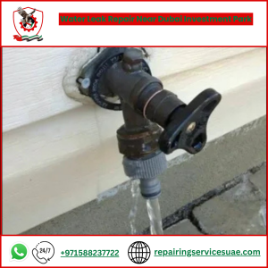Water Leak Repair Near Dubai Investment Park