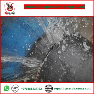 Water Leak Repair Near Springs Dubai