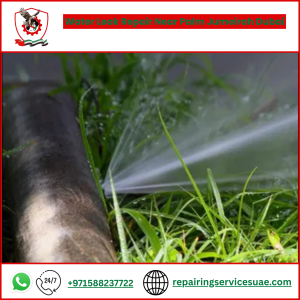 Water Leak Repair Near Palm Jumeirah Dubai