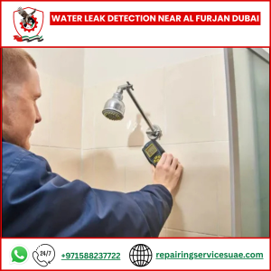 Water Leak Detection Near Al Furjan Dubai