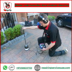 Water Leak Detection Near Arabian Ranches