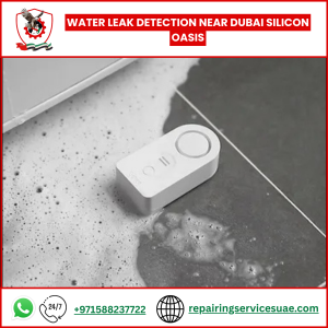 Water Leak Detection Near Dubai Silicon Oasis