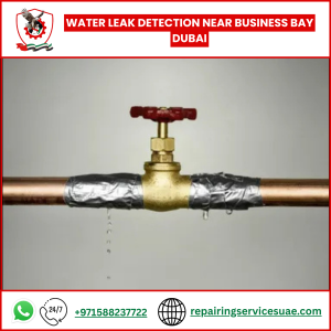 Water Leak Detection Near Business Bay Dubai