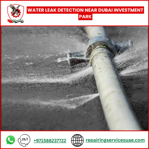 Water Leak Detection Near Dubai Investment Park