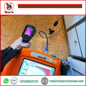 Water Leak Detection Near Jumeirah Park Dubai