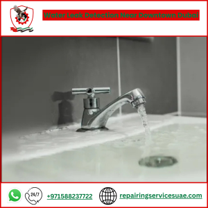 Water Leak Detection Near Downtown Dubai