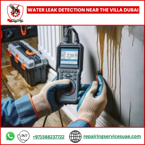 Water Leak Detection Near The Villa Dubai